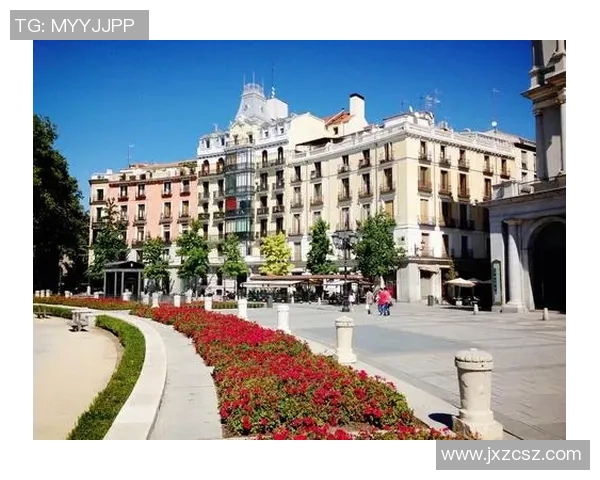 国民老公化身足球明星的逆袭人生与爱情纠葛之旅